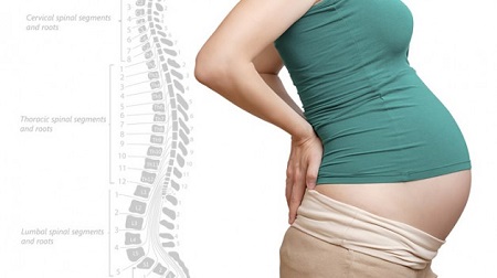 Back Pain During Pregnancy and How Chiropractors Can Help - Auburn  Chiropractic Associates - Auburn Chiropractor